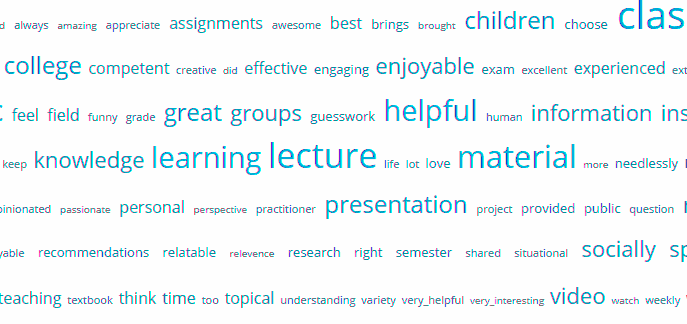 Example of SmartEvals' interactive word cloud feature that lets you analyze commonly used words or phrases in student comments