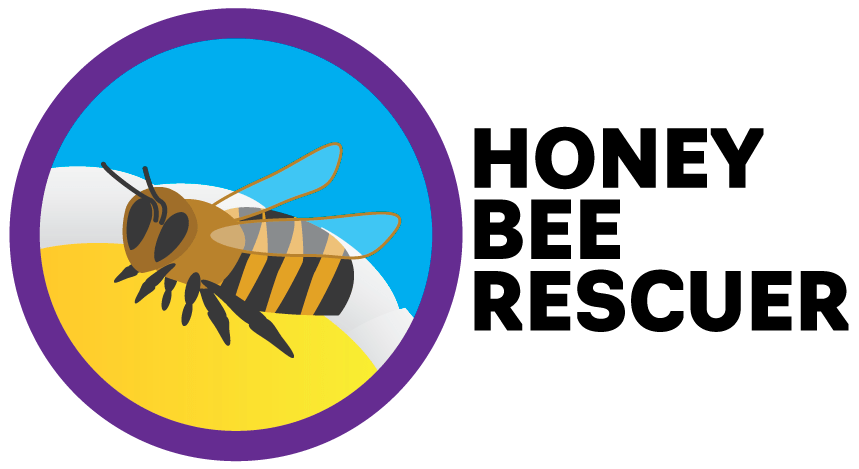 Honey Bee Rescuer